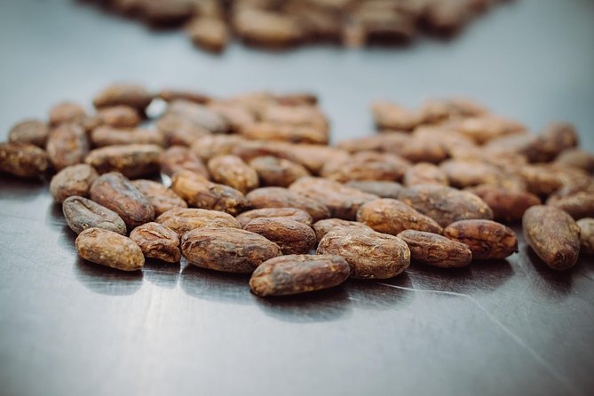 Ultimate Chocolate Tour in Montreal With Included Tastings - Customer Reviews
