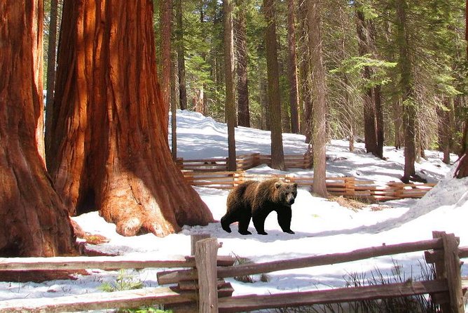 Ultimate Yosemite & Lake Tahoe Review - Final Verdict On This Stay