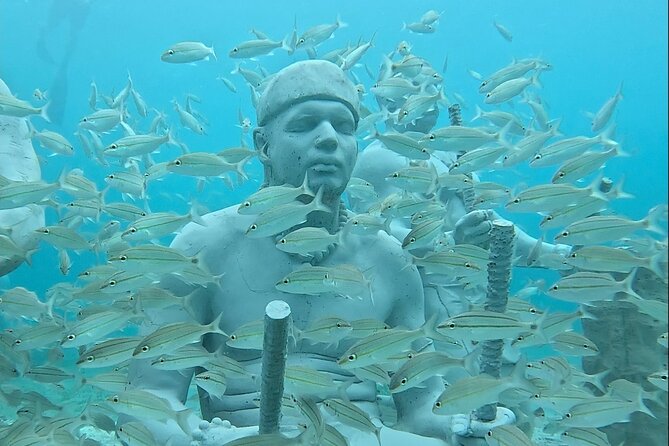 Underwater Sculpture Park Snorkel Adventure - Family-Friendly Aspects