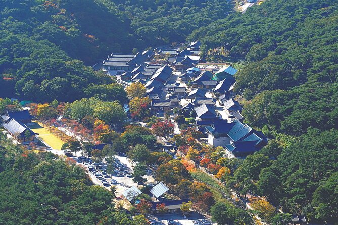 UNESCO Tongdosa Temple + Gourmet Eonyang Style Bulgogi Lunch - Accessibility Features
