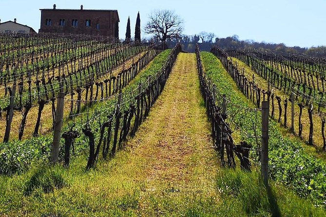 Unique Enobike Experience With Tasting in 2 Excellent Wineries - Health and Accessibility Details
