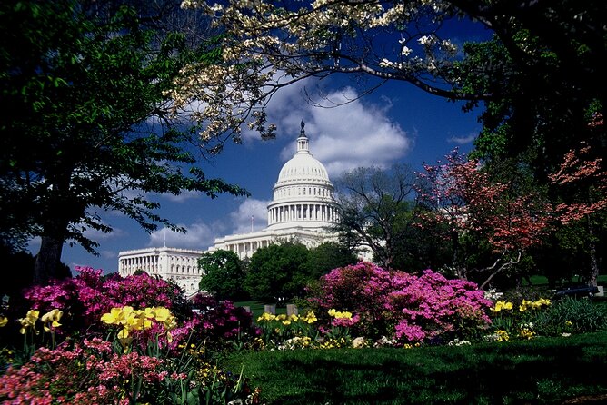 US Capitol & Library of Congress With Guided Walk of Capitol Hill - Additional Information and Tips