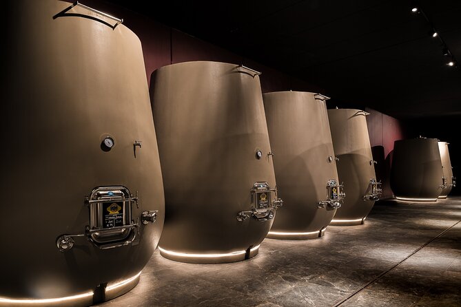 Valpolicella Wine Tasting Experience & Light Lunch - Valpolicella Wine Region