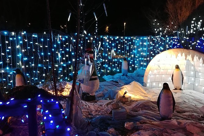 Vancouver Christmas Festival of Lights - Enjoy the Festive Lights
