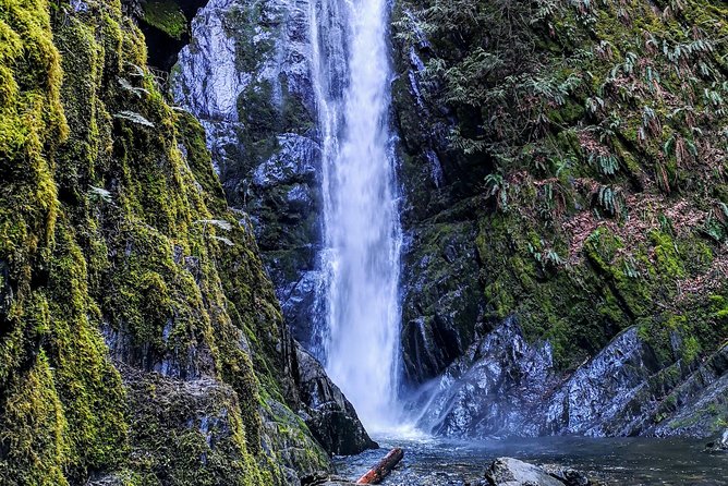 Vancouver Island Rainforest Guided Hike With Private Guide - Cancellation Policy