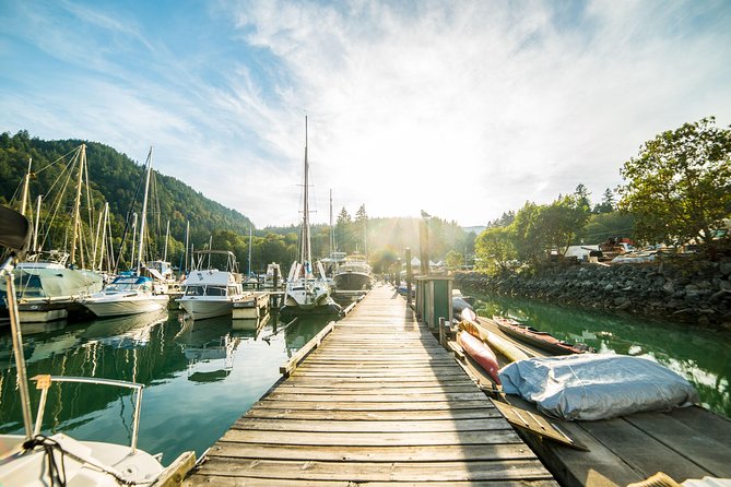 Vancouver Jetski Tour With Dinner on Bowen Island - Wildlife Spotting