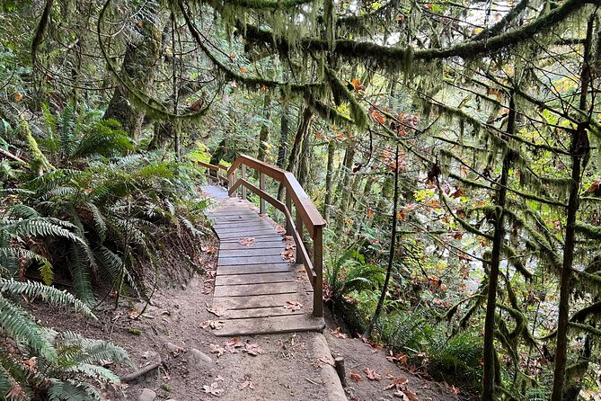 Vancouver Rainforest Hike With Waterfalls, Suspension Bridge, Old Growth Forest - Traveler Recommendations