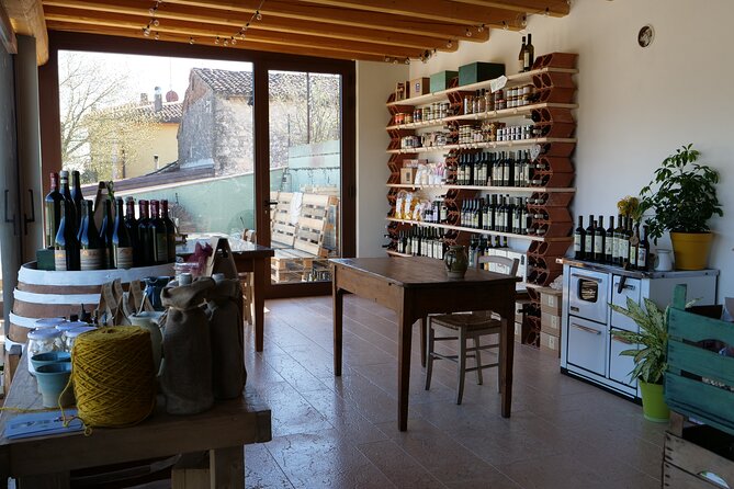 Verona - Cellar Tour and Tasting of NATURAL WINES - Tasting the Natural Wines