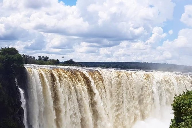 Victoria Falls Cultural Private Tour With Lunch - Customer Feedback and Insights