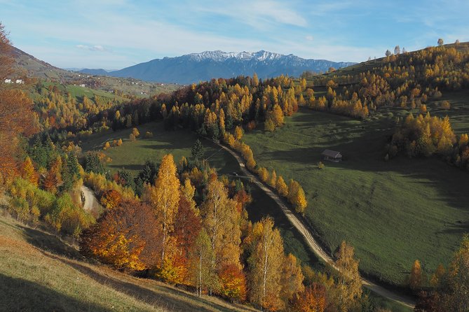 Village Life in Transylvanian Carpathian Mountains - 8 Days - Guided Services and Transportation