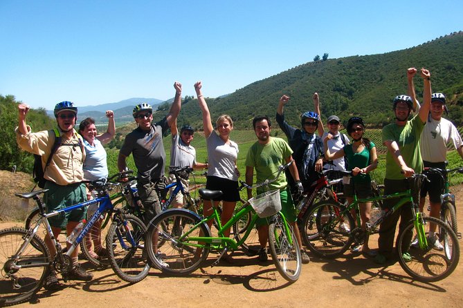 Vine and Dine Bicycle Wine Tour With Lunch - Pricing and Booking Details