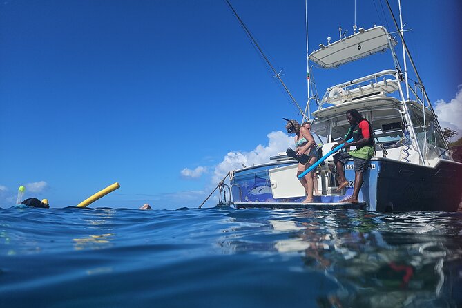 VIP Private Guided Scuba Diving/Snorkeling Excursion - Location and Operator Information
