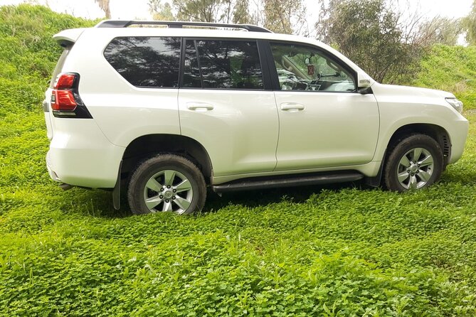VIP Transfer Between Tunis Carthage Airport and a Hotel in Tunis - Accessibility and Amenities
