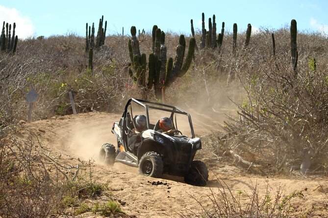 Viper Trail UTV Small-Group Experience in Cabo San Lucas - Customer Feedback and Highlights