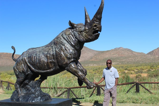Visit African Big 5 Safari Aquila Game Reserve From Cape Town - Full Day - Guest Reviews and Ratings