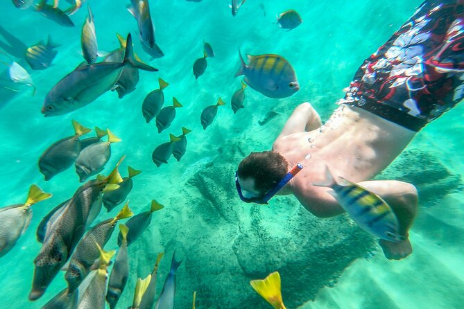 Visit the Arch and Snorkel in Chileno Beach - Exploring The Arch