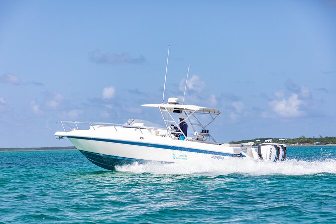 Visit the Ocean Swings! Full Day Harbour Island Private Boat Tour - Snorkeling Equipment