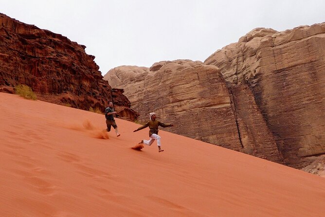 Wadi Rum Short Tours - Customer Feedback and Reviews
