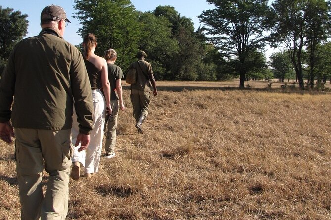Walking Safari - Flexibility and Convenience for Travelers