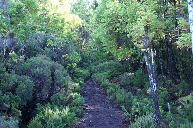 Walking Trails of Terceira - Post-Hike Relaxation