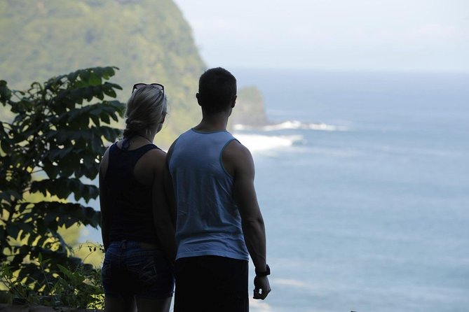 Waterfall and Rainforest Adventure - What to Expect
