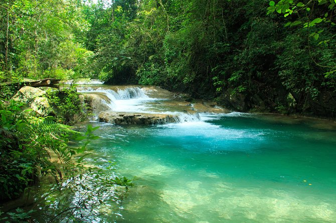 Waterfalls & Nature Day-Trip Experience - Terrain and Traveler Reviews