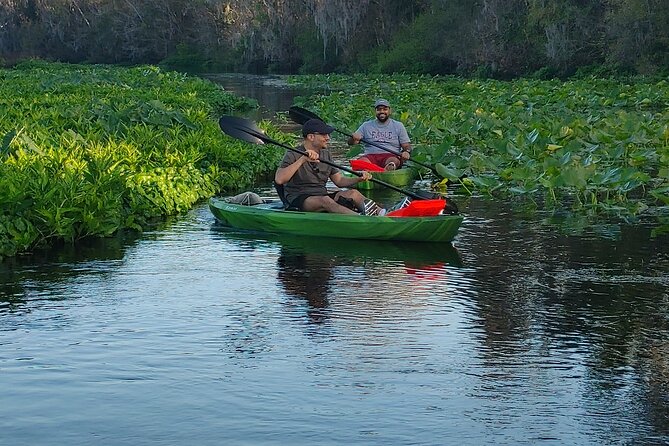 Wekiva Wildlife Kayaking Adventure Tour - Host Response