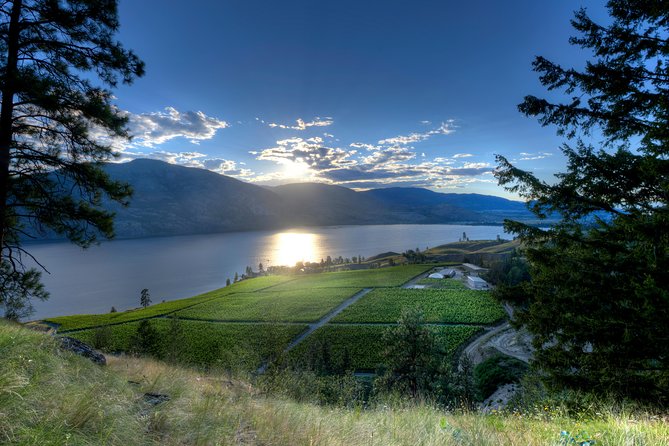 West Kelowna Tour From Vernon - Classic - 6 Wineries - Booking Details