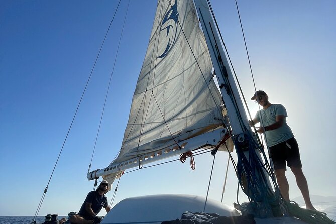 Whale & Dolphin Observation on Silent Catamaran With Hydrophone - Timely Departure for Optimal Viewing