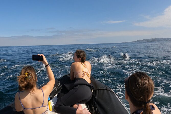 Whale Watching San Diego: Private Charter Experience - Booking and Pricing
