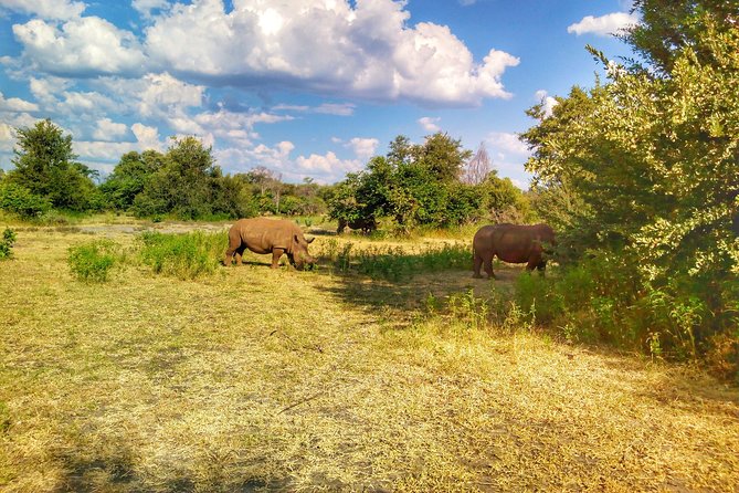 White Rhino Walk in the Mosi Oa Tunya - Pricing and Inclusions