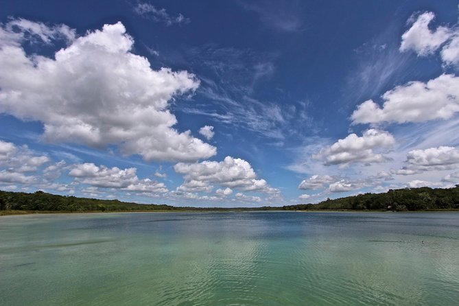 Wild Monkey Adventure (Private, Full Day) - Canoeing and Cenote Exploration