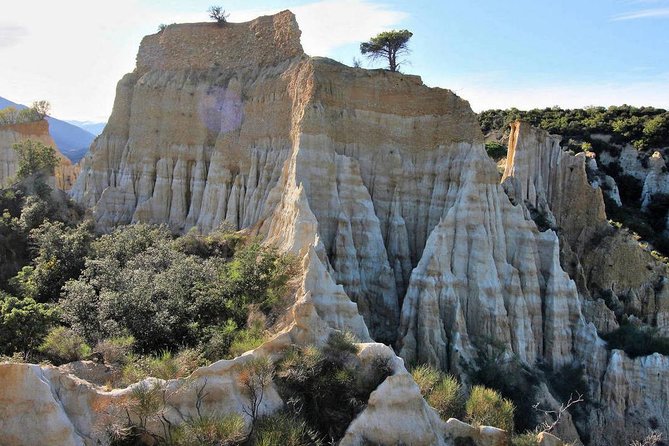 Wild Organs: Grand Landscape, Plants, Geology, Birdsongs - Booking and Logistics