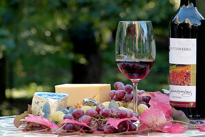 Wine Experience Bologna Hills - Winery Visits and Wine Tasting