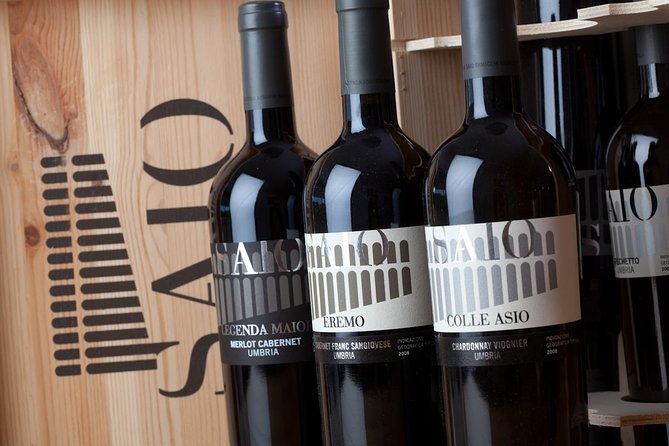 Wine Tasting and Walk in the Vineyard of Assisi - Traveler Reviews