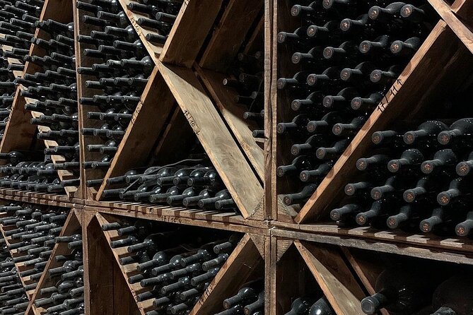 Wine Tasting Experience in the Apulian Countryside - Booking Details and Policies