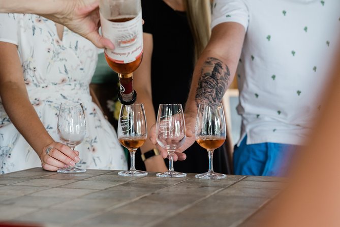 Wine Tasting on Ile Dorleans - Guide Expertise and Interaction