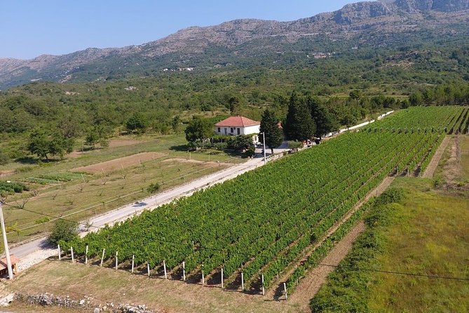 Wine Tour Konavle - Exploring Travelers Photos