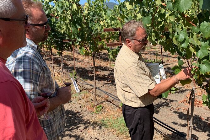 Wine Tour Pros - Wine Tour in Napa Valley: SUV For Up To 6 Guests - Exclusions to Consider