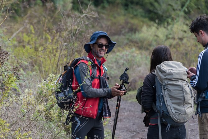Wonderful Hike Through the Magic Forest of Tenerife - Exploring the Evergreen Forest