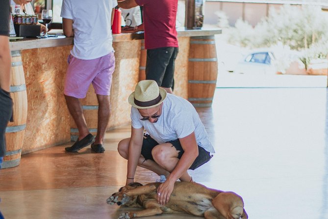 Xecue Wine Tasting in the Guadalupe Valley - Location and Directions