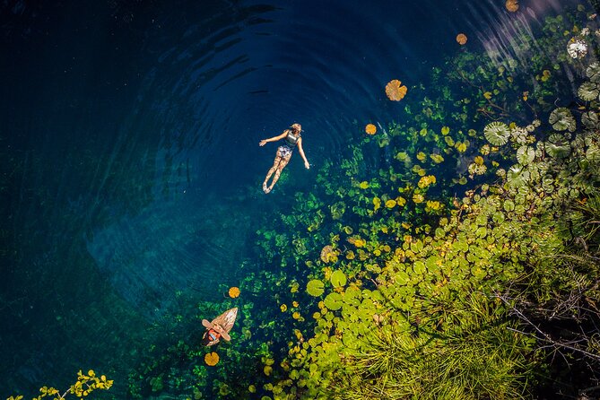 Xenotes - What to Expect