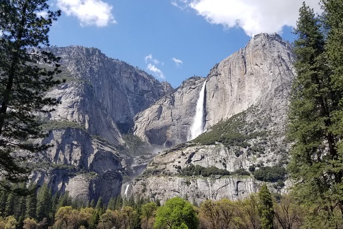 Yosemite Day Tour - Reviews