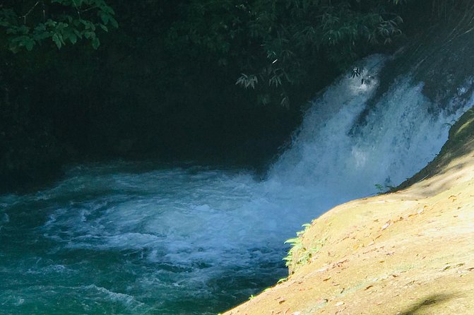 Ys Falls, Floyd's Pelican Bar, Black River Safari - Booking Information
