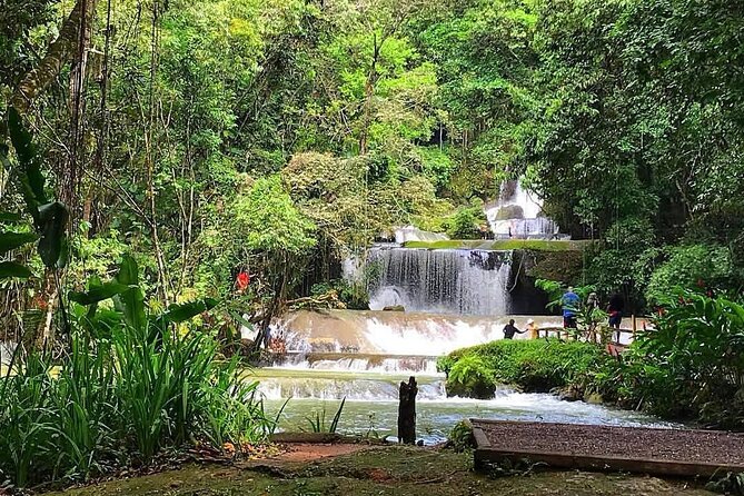 Ys Falls Private Tour - Customer Feedback