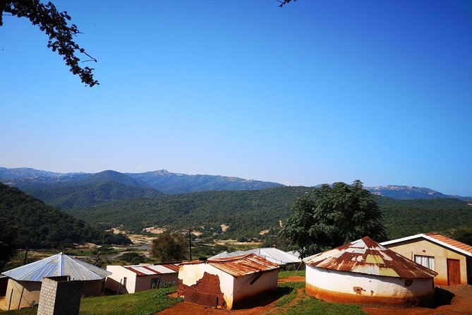 Zulu Cultural Experience: Zulu Village + Tribal Markets + Traditional Zulu Food - Participant Reviews and Feedback