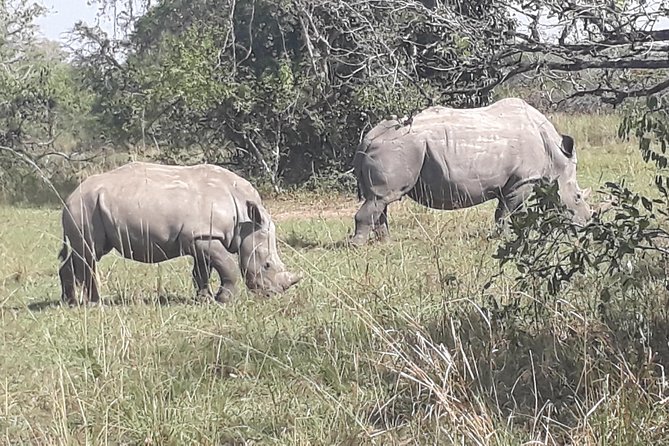 Zziwa Rhino Sanctuary Walking Safari - Cancellation and Booking Policies