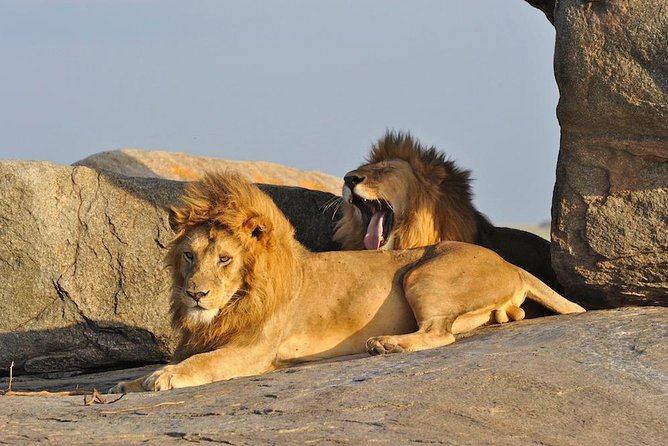 6 Day: Magnificent Wildlife Adventure - Good To Know