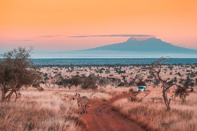 6 Days Mount Kilimanjaro Climbing via Rongai Route - Good To Know
