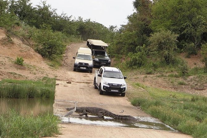 6 Days Private Camping Safari Serengeti, Ngorongoro, Lake Manyara and Tarangire - Key Points
